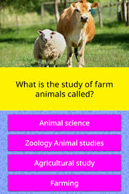 Here are the farm animals questions. What Is The Study Of Farm Animals Trivia Answers Quizzclub