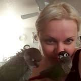 Breeders Reviews :: Linville's Aviary, Miami, FL