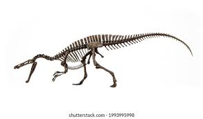 Image result for Suchomimus