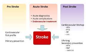 Are there treatments for other conditions associated with cerebral palsy? Stroke As Interdisciplinary Disease What The Practising Cardiologist Can Do