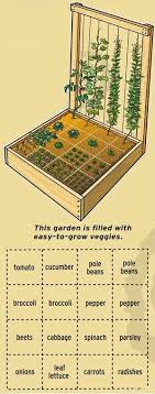 And whether you're an experienced gardener or a complete newbie, mother nature will continue to throw you some unexpected twists. 19 Vegetable Garden Plans Layout Ideas That Will Inspire You