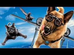Connect with us on twitter. Cats Dogs 2 The Revenge Of Kitty Galore Movie Review Youtube