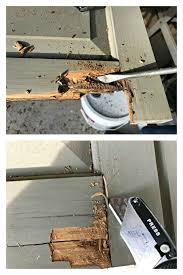 Using Bondo To Repair Wood Rot Or Damaged Wood Wood Repair Diy Home Repair Repair