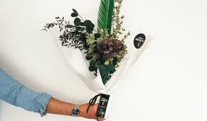 Check spelling or type a new query. Campaign Of The Week Broquet Contagious