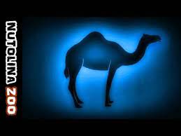 Like if it were a separate an action line. Kamel Gerausch Kameel Geluid Camel Sounds Kamel Sound Youtube