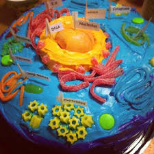 Science Project Eukaryotic Cell Cake Cells Project Biology Projects Eukaryotic Cell
