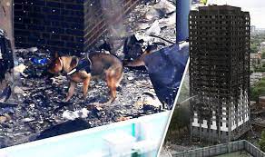 Grenfell tower victims remembered with silent walk one year after fire. Specialist Search Dogs Join The Hunt For Grenfell Tower Fire Victims Uk News Express Co Uk