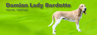 Image result for švycký honič