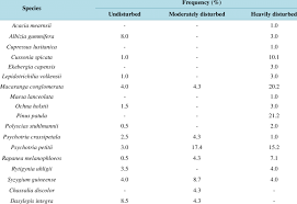 Image result for Lepidotrichilia volkensii