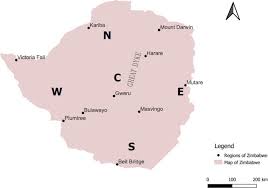 Image result for Vernonia musofensis