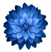 Pin On Heal It Health And Wellness