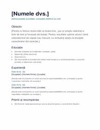 Cv Simplu
