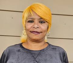 Hannah Piercey, Author at VoteRiders • Page 3 of 7