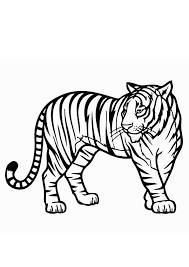 They are famous for their physical prowess, large sizes. Coloring Pages Tiger Coloring Page For Kids