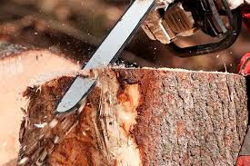 Using a tree stump grinder is more environmentally friendly than using chemicals to kill the tree stump. Stump Grinding Removal Jv Tree Services