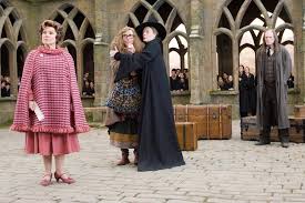 Image result for tbn:cwVrSrWzM5GfbM::harrypotterrecopilac.galeon.com/foto_todos.jpg