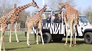 The best outdoor activities in suffolk according to tripadvisor travelers are Places To Go Around Suffolk Lets Go With The Children