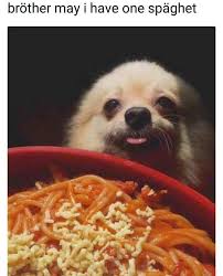 Conversazioni Assurde Immagini Che Fanno Ridere Whatsapp 397856 Immagini Divertenti Immagini Divertente