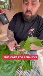 Lebanese Food Reviews: Garden Fresh Delights from Beirut