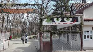 Gradina zoologica este situata in partea de est a orasului targu mures, pe platoul cornesti, judetul mures. O VizitÄ La GrÄdina ZoologicÄ Din Targu Mures Romania Historical Visiting