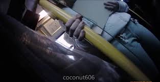 Adult Massage Palm Beach - Tropic Tube