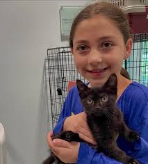 Animal Rescue Fund of the Hamptons, Inc.