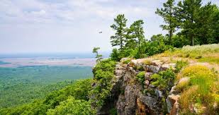 It's a very popular type of restaurant in my country. 6 Most Beautiful Mountains In Arkansas