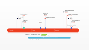 A timeline template is a perfect addition to your presentation, project plan, proposal, project management software or other documents where you need to share project details with stakeholders. Free Timeline Templates For Professionals