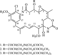 Image result for Putterlickia