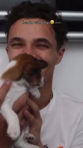 Lando Norris with Adorable Puppies