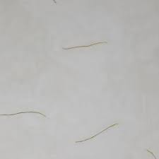 Image result for Medium Walnut 1990 Tracer