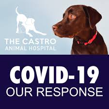 720 valencia st, san francisco, ca 94110, usa. The Castro Animal Hospital Home Facebook