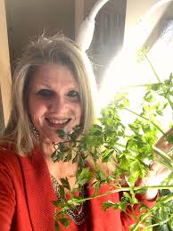 Herbs and veggies from my own garden