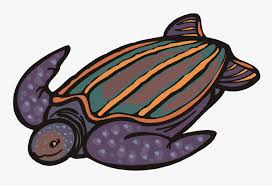 Back Clipart Sea Turtle Sea Turtle Cartoon Png Transparent Png 750x481 Free Download On Nicepng Use these free cartoon turtle png #34244 for your personal projects or. sea turtle cartoon png transparent png
