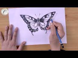how to draw a butterfly in pencil step by step كيف أرسم فراشة بقلم الر butterfly drawing butterfly drawing images drawing for beginners