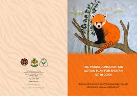 Unfortunately, due to human actions, these animals are endangered. Pdf Red Panda Conservation Action Plan For Bhutan 2018 2023