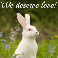 Rabbits Matter