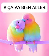 Humour Bonnehumeur Bonheur Motivation In 2020 Cute Birds Pretty Birds Bird