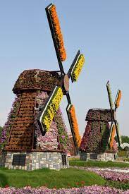 Best Time To See Dubai Miracle Garden 2021 When To See Rove Me