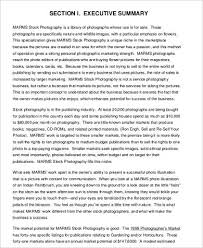 Maybe you would like to learn more about one of these? Free 10 Sample Photography Business Plan Templates In Pdf Ms Word Google Docs Pages