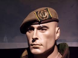 grijze baret defensie