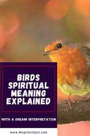 Different Birds And Their Meanings Birds Spiritual Meaning Explained Symbolism And Dreams Spiritual Meaning Dream Symbols Spirituality