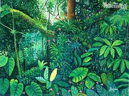 Product Naive Painting Title Rainforest Artist Abel Vargas Jungle Art Forest Painting Tropical Art Print