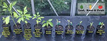 Looking for the best nitrogen fertilizer for lawns? Which Commercial Fertilizer Is Best Leaf Root Fruit Gardening Services