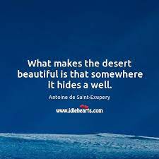 What Makes The Desert Beautiful Is That Somewhere It Hides A Well Idlehearts