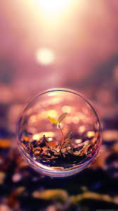Screen Wallpaper Wallpaper Free Download 2560 1024 Screen Wallpaper 37 Wallpapers Adora Bubbles Wallpaper Beautiful Macro Photography Beautiful Wallpapers