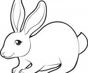 + de films & dessins animés max le lapin un conte de pâques genre : Coloriage Lapin Couleur Dessin Gratuit A Imprimer