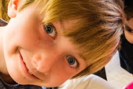 New principals at Briarcliff Elementary, Apex Elementary, Crossroads FLEX  High and Wendell Middle