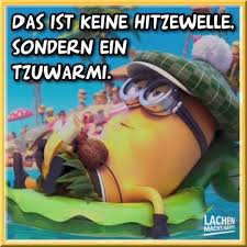 Das raubtier hatte es auf den hund der spaziergängerin abgesehen. 37 Sommerhitze Ideen In 2021 Hitze Lustig Lustig Lustige Bilder