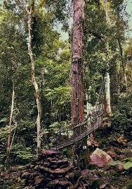 santubong waterfall bridge https freierfallmmxv wordpress com 2018 01 06 the hidden secrets of santubong waterfall tree kuching